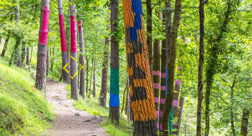 Bosque pintado de Oma en Bizkaia