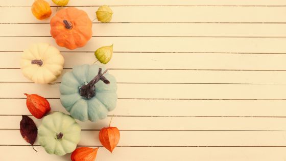 Imagen de Planes destacados para este noviembre en Bizkaia