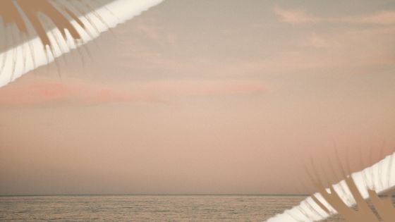 Imagen de Qué hacer en Bizkaia en julio de 2026: festivales, música, cultura y planes de verano para disfrutar del mes