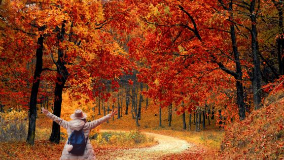 Imagen de Guía para disfrutar del otoño en Bizkaia en 2026