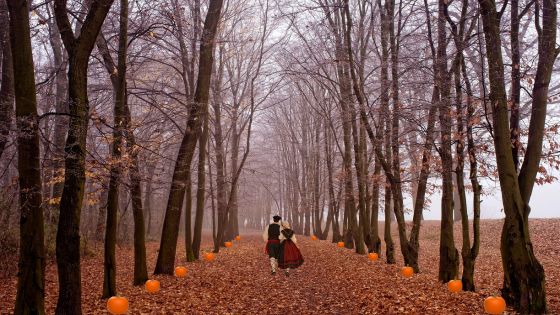Imagen de Noviembre en Bizkaia 2026: música, cine, gastronomía y planes para disfrutar del otoño