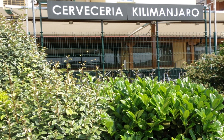 Kilimanjaro Cerveceraren irudia