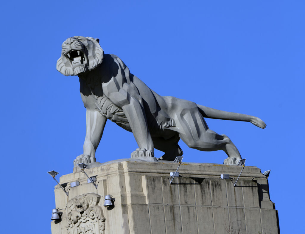 Foto de El tigre de Deusto